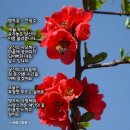 쿵더쿵
