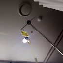 장수원목장 | 주말은갔고, 월요일이 되었어요!