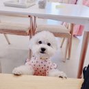 미요가원
