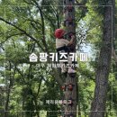 초코숲헤어 | 대구 체험형 키즈카페 솜팡 숲체험, 물놀이, 미술놀이를 한번에