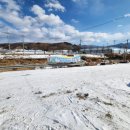 덕유산 송어 | 무주 맛집, 무주 덕유산 송어회 포장 후기