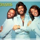 Holiday - Beegees 이미지