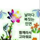 어마무시 이미지