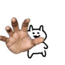 파트라슈 이미지