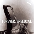 푸마의 봄이 다시 돌아왔다. FOREVER. SPEEDCAT 성수 팝업 전시 후기.