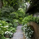 꿈의 정원 이미지