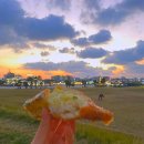 5404 | 제주 동쪽 카페 함덕 오드랑베이커리 마농마늘바게트, 에그타르트 내돈내산 후기