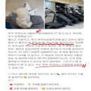 더 뉴 알통짐 | "왜 재등록이 많을까?" 뉴라이프짐 화정점 회원님들의 진짜 후기 모음💪