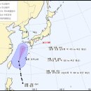 리피 이미지