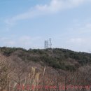 비슬목장 이미지