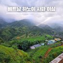 베트남 하노이 사파 여행 유심 추천 유심사 이심 사용 후기