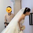 💍[W-29] 대구 아이폰 스냅 “쎄느스냅” 후기 ( 아이폰 스냅 장단점 비교)