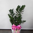 정자역 피씨방 이미지