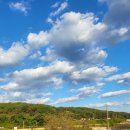 웰컴독 애견펜션 이미지