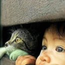 라이프모티브 이미지