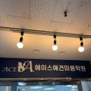 안산에이스 애견미용학원 네이버블로그