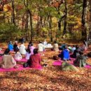 가든행정사 이미지