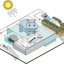 아라칼국수 이미지