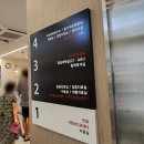 재진농장 | N동물의료센터 건강검진 후기 그리고 고양이 만성신부전증 진단