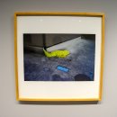 [사진전시회 관람후기] 국제갤러리 부산점, 박찬욱 사진전 &lt;너의 표정(Your Faces)&gt;展