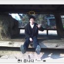 호오호