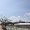 두물머리 화장실 | 양평 두물머리 산책 코스 추천 + 두물머리 연핫도그 후기