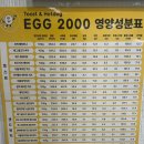 에그2000광주 이미지