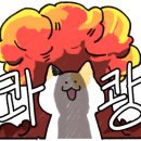 보드게임카페레드버튼광주충장로