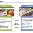 오아시스온 이미지