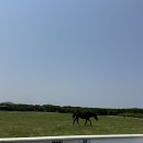 산대목장 이미지