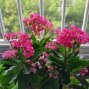 임종헌한의원 이미지