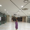 왕림옷수선 | 요즘 내 쇼핑질,,그리고 후기-<써니홀릭,연니,분따지주>