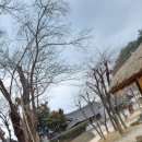 저팔개콧구멍 이미지