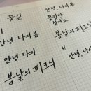 캘리그라피 오전반 | 악필교정 비포 앤 애프터가 확실한 아리그라피 캘리그라피 수업후기 @이수역