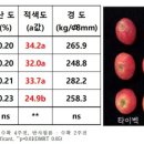 ㈜한스인테크 네이버블로그