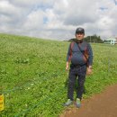 고찬농장 이미지