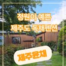 제주윤채 이미지