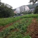 사리현농장 이미지