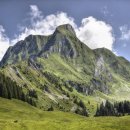 나래시스템 이미지