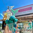 동피랑사람들 | 통영 동피랑와팡 디저트맛집 | 인어공주와플 솔직후기