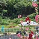 능성동농장 이미지