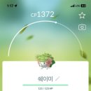 도도보드카페