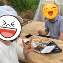 단이농장 이미지