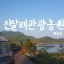 [충남 부여 캠핑장] 호수뷰 치유의 공간 진달래관광농원