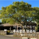제주민속촌 | 제주민속촌 소요시간, 애견동반 관광지 꿀잼