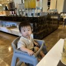 태양미장원 | [블챌] 일상 포토덤프 14주차