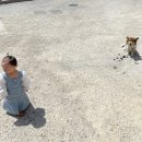 JNG 펜션 이미지