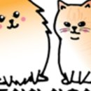 야옹이네 이미지