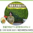 일광베르힐부동산공인중개사사무소 이미지