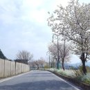 예성주유소 이미지